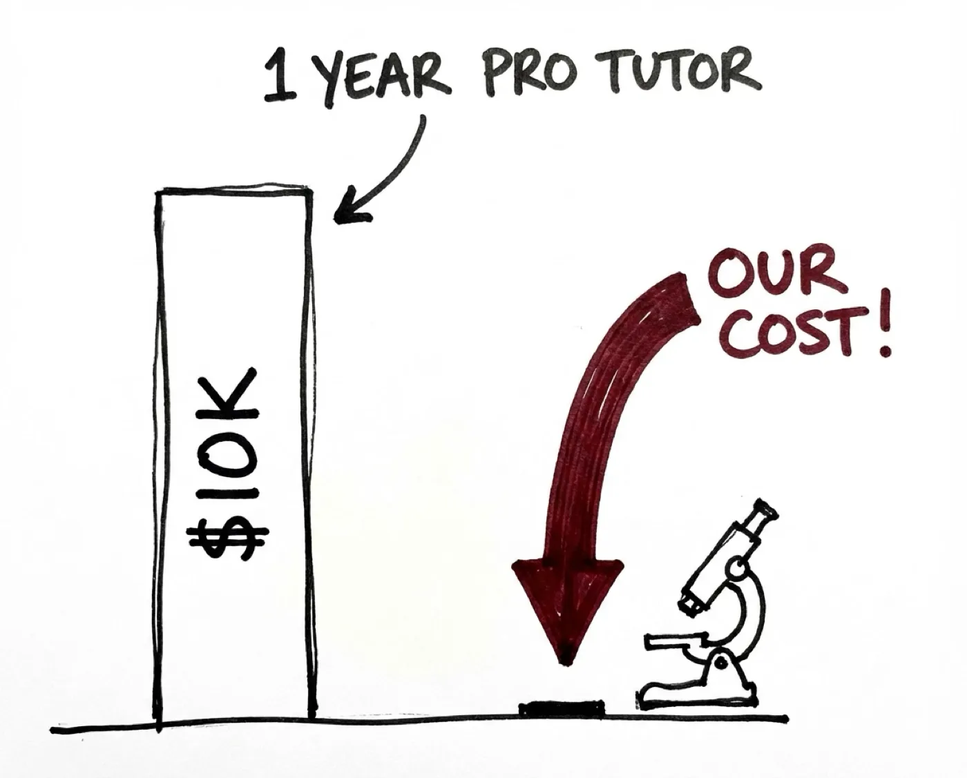 Victor AI vs a private tutor